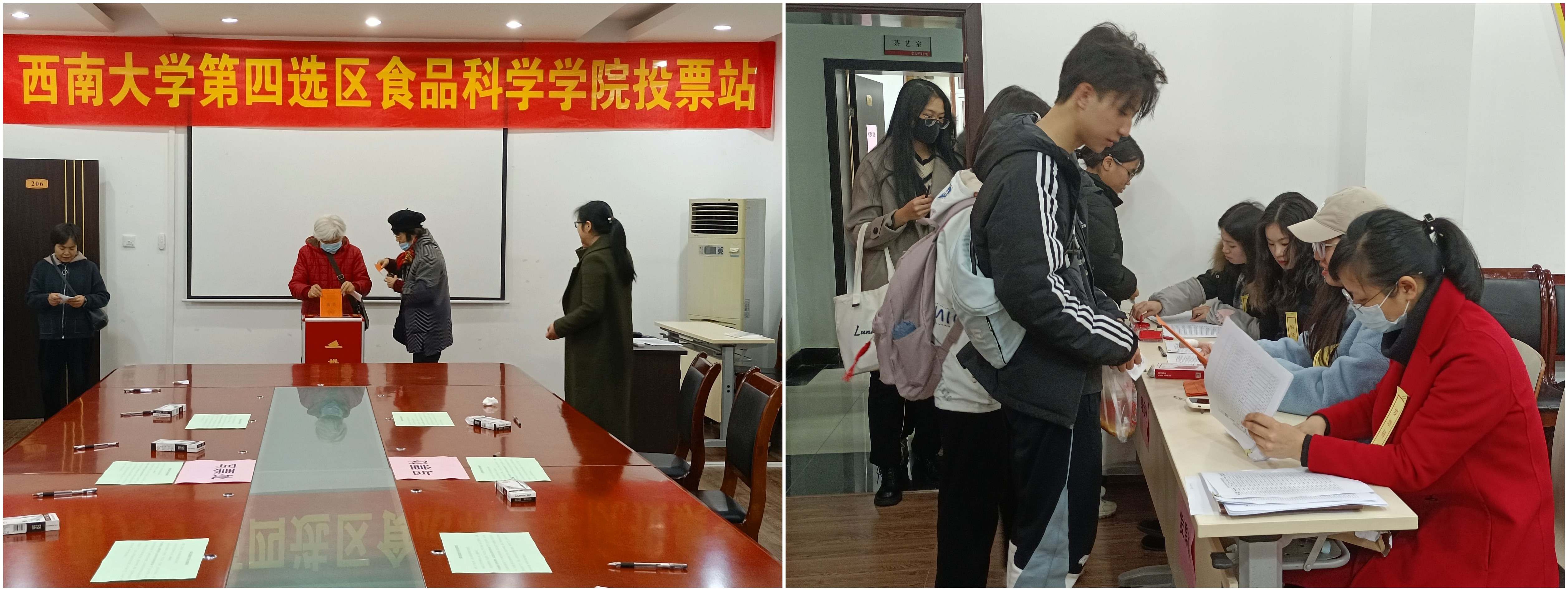 选举3.jpg